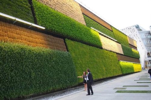 Hợp tác Israel-Đông Nam Á: Khi nông nghiệp 'bắt tay' ngoại giao