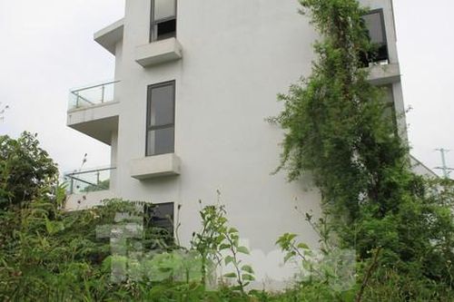 Cận cảnh biệt thự 'hóa rừng' trong khu đô thị sinh thái Xuân Phương mà Hà Nội vừa yêu cầu rà soát