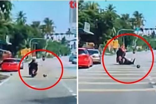 Quả dừa to rơi trúng đầu người đi xe máy ở Malaysia gây tai nạn, ai nhìn cũng choáng