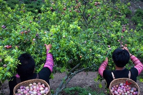 HTX có tận dụng được thị trường xuất khẩu gần?