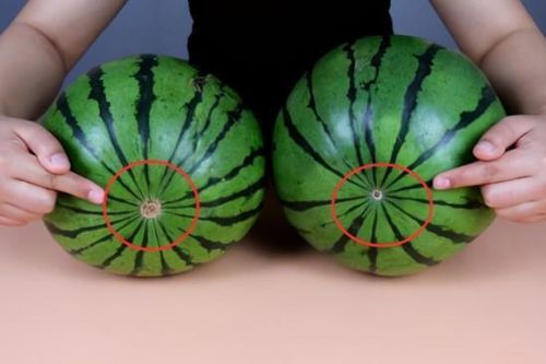'Bí kíp' chọn mua dưa hấu ngọt lịm cho mùa hè nóng bức