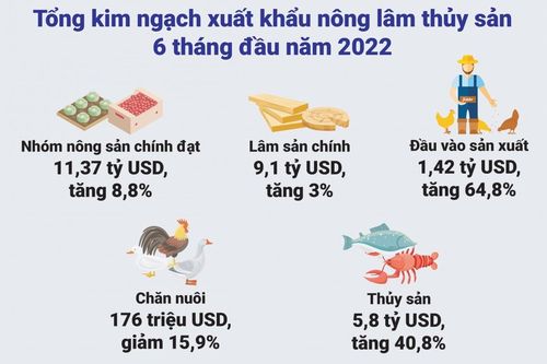 Xuất khẩu sản phẩm nông lâm thủy sản tiếp tục đà tăng trưởng tích cực