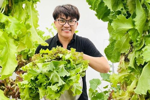 Ngỡ ngàng vườn rau sạch đủ các loại bên trong biệt thự triệu đô của MC Đại Nghĩa