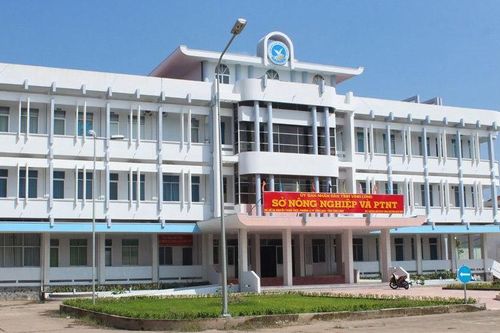 Diễn biến mới vụ phó giám đốc sở 'đòi' nhuận bút mới cung cấp thông tin