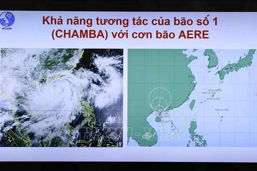 Ba kịch bản bão số 1: Dự báo gần tâm bão, gió giật cấp 14, biển động dữ dội