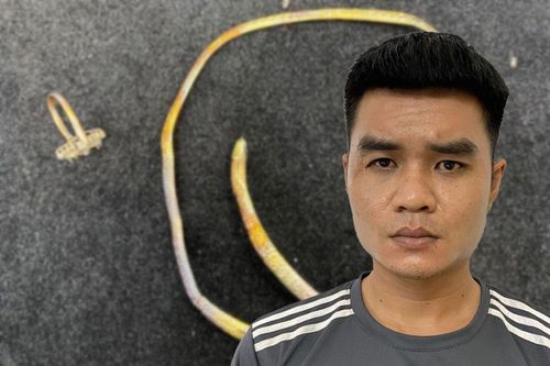 Mới ra tù tiếp tục thực hiện hành vi hiếp dâm, cướp tài sản