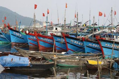 Bão Chaba gây sóng lớn: Các địa phương kêu gọi ngư dân khẩn trương đưa tàu thuyền về nơi tránh, trú an toàn