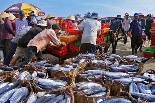 FAO: Thế giới sẽ tăng tiêu thụ thủy sản 15%, đạt 21,4 kg/người năm 2030