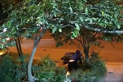 Xe máy đâm thẳng vào chậu cây cảnh bên đường, tài xế bay lên ôm trọn gốc cây, cảnh tượng khiến dân tình hoảng hồn