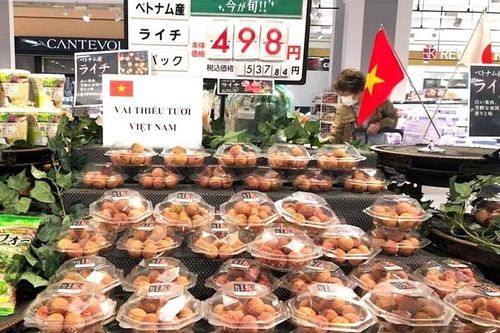 Hàng chục tấn vải bán tại Tuần hàng Việt Nam ở Nhật Bản