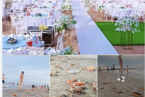 Bãi biển ngập rác tôm hùm, vỏ ghẹ sau đám cưới 'như mơ' ở resort sang chảnh