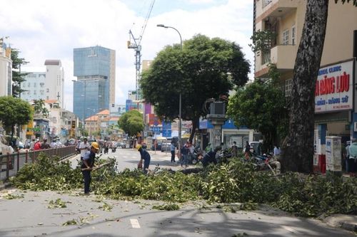 Cây xanh bất ngờ bị gãy, đè trúng xe máy của người phụ nữ chở theo bé gái