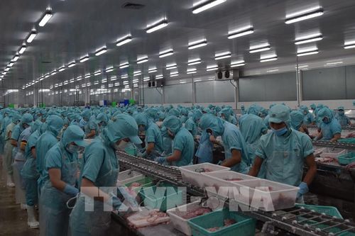 Xuất khẩu hàng hóa của Đồng Tháp tăng gần 63%