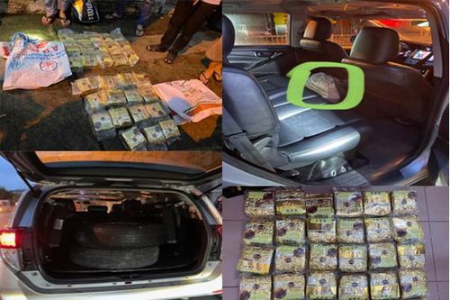 TPHCM: Phá đường dây ma túy của Trung '7 ngón', thu giữ 30kg hàng 'đá'