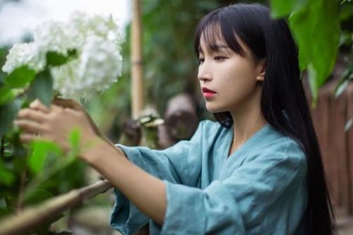 Lý Tử Thất trắng tay