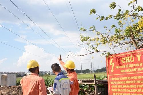 Mất điện diện rộng: Doanh nghiệp cung cấp điện có phải bồi thường cho khách hàng?