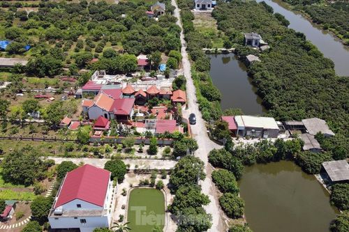Tháo dỡ lâu đài, biệt thự trái phép trên đất nông trường ở Hải Phòng