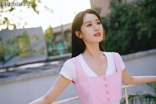 Viên Băng Nghiên trốn thuế, sự nghiệp có nguy cơ mất trắng