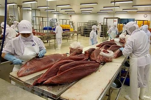 VASEP đề xuất gì để xuất khẩu cá ngừ tận dụng được lợi thế FTA?