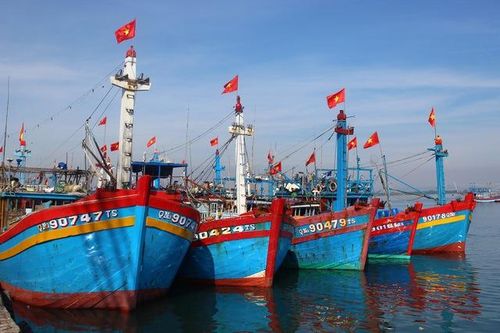 Thủ tướng Chính phủ yêu cầu Bộ NN&PTNT nghiên cứu hỗ trợ ngư dân ảnh hưởng do giá xăng, dầu