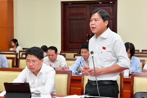 Đại biểu HĐND TPHCM trăn trở chuyện người nghèo càng thêm khó khăn sau đại dịch