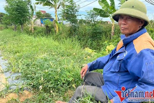 Lý do chủ nhân bị phá nát ruộng dưa làm đơn xin tha cho thủ phạm