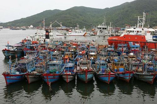 50% tàu cá 'nằm bờ' vì giá xăng dầu cao kỷ lục, Thủ tướng chỉ đạo nghiên cứu hỗ trợ