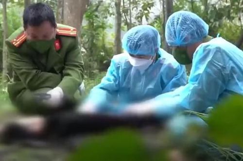Xác chết trên đồi vắng (P1): Vụ án không dấu vết