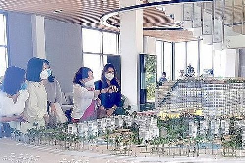Định kỳ hàng năm, hàng quý bắt buộc phải công bố thông tin về nhà ở và thị trường bất động sản