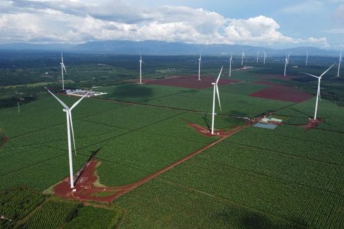 Gia Lai yêu cầu đẩy nhanh tiến độ các dự án điện gió, điện mặt trời