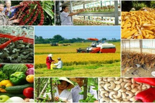 Nguồn lực của đất nước phải tiếp tục ưu tiên đầu tư cho nông nghiệp, nông dân, nông thôn