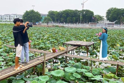'Hốt' hàng chục triệu đồng mỗi ngày khi chụp ảnh hoa sen Hồ Tây