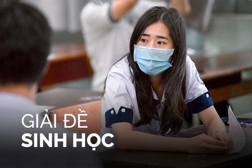 Gợi ý đáp án môn Sinh học tốt nghiệp THPT 2022