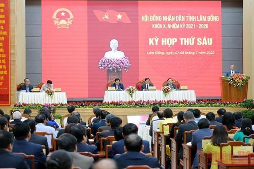 Có sự tiếp tay, thông đồng trong nhiều vụ phá rừng tại Lâm Đồng