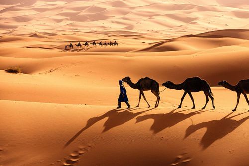 Dùng radar đo độ sâu sa mạc Sahara, chuyên gia phát hiện thứ cực sốc
