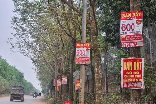 Cơn sốt đất nền đã qua vùng đỉnh, nhà đầu tư vẫn đổ xô săn đất ở Khánh Hòa