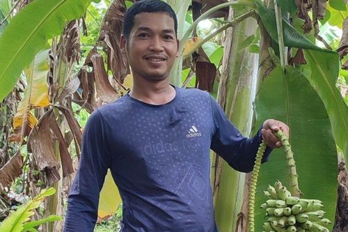 Chàng kỹ sư trẻ bỏ phố về quê làm nông với nhiều khát vọng