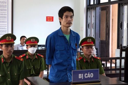 Đứa cháu nghịch tử