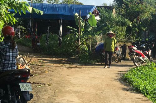 Hà Tĩnh: Người đàn ông bị bò húc tử vong