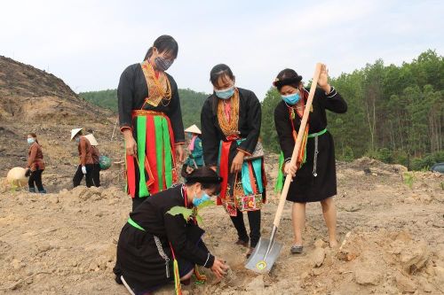 Quảng Ninh: Trả 'vàng' cho rừng