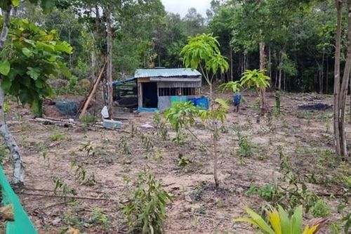 Phú Quốc (Kiên Giang): Tăng cường phối hợp trong xử lý lấn, chiếm đất rừng