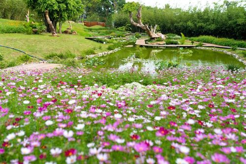 Tận hưởng ngày sống lành ở 'Thành phố cà phê'