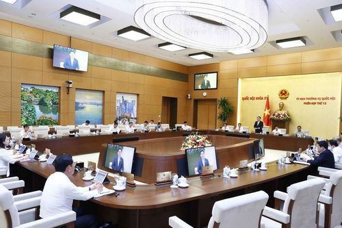 Chuyển đổi hàng nghìn ha rừng và đất trồng lúa làm cao tốc Bắc - Nam