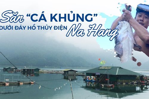 Săn cá 'khủng' dưới đáy hồ thủy điện Na Hang