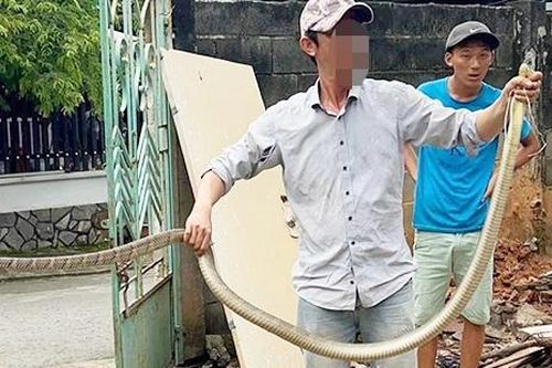 Bắt rắn hổ mang chúa, một người đàn ông tử vong