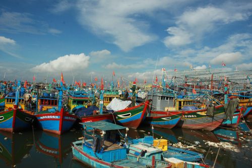 Xăng dầu giảm, ngư dân Quảng Ngãi chuẩn bị cho tàu vươn khơi