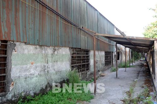 Ngang nhiên 'xí phần' đất công nghiệp để cho thuê trái phép