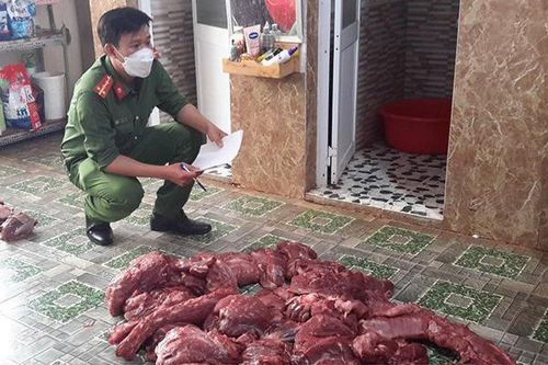 Đắk Nông: Đề nghị truy tố người làm 'thịt nai gác bếp' từ heo nái