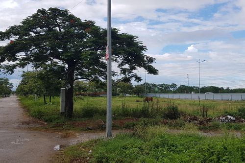 Gần 1.000 lô đất tại 9 mặt bằng quy hoạch ở TP Thanh Hóa: Suốt 10 năm chưa được cấp sổ đỏ?