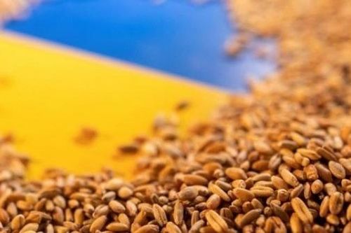 Vấn đề Ukraine xuất khẩu ngũ cốc: Kiev lạc quan, Pháp thận trọng vì Nga bổ sung điều kiện